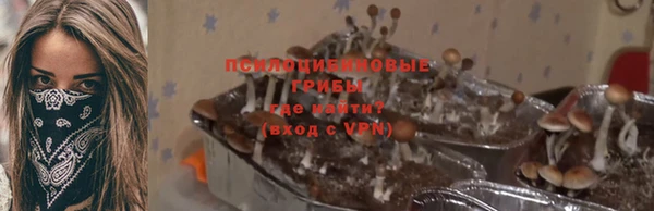 стафф Волоколамск