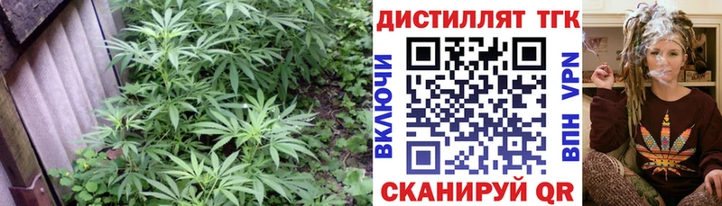 Купить  Ладушкин  ТГК THC oil 