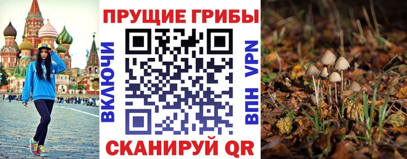 Псилоцибиновые грибы мицелий  Купить  Ладушкин 